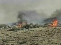 Уникальные американские леса пожирает пламя