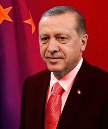 Зачем Эрдоган поссорился с Евросоюзом