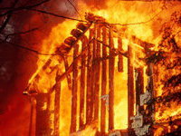 Новые данные: в Волгоградской области сгорело более 800 домов