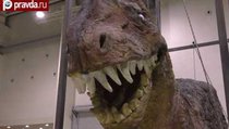 Динозавры перенесут Москву в "Затерянный мир" 