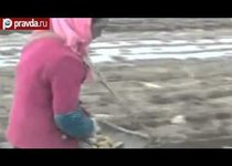 КНДР покушается на Приамурье