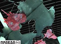 Художественная выставка в Сколково