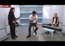 ФАНО_ТЕКА: Animal ДжаZ - Паук 