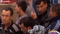 Россия получит армию мигрантов? 