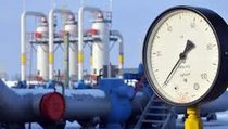 "Цена на российский газ для Украины оправданна"
