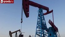 "За пригоршню долларов": цена на нефть продолжает падение 