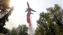 Как спасти лес от пожара? 