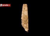 Неандертальцы владели секретами кожи 