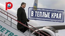СМИ: Порошенко готовится сбежать из Украины 
