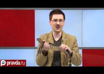 Варан - последний дракон