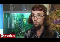 Саранча атакует