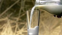 Почему Россия осталась без своего молока? 