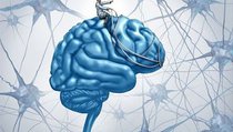 Тайны IQ: О коэффициенте интеллекта и связанных с ним глупостях 
