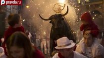 Бег с быками в Испании: наперегонки со смертью 