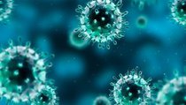 Ученые обнаружили тысячи новых вирусов, неизвестных науке 