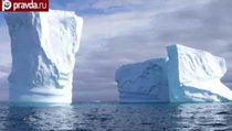 "Холодные игры": как депутаты Госдумы Антарктиду покоряли 