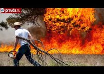 Лесные пожары полыхают в США